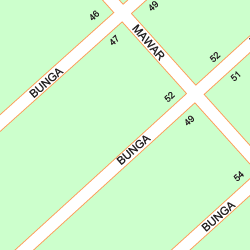 Gambar Bunga Nagasari Gambar Bunga Gambar Bunga Nagasari Gambar Bunga